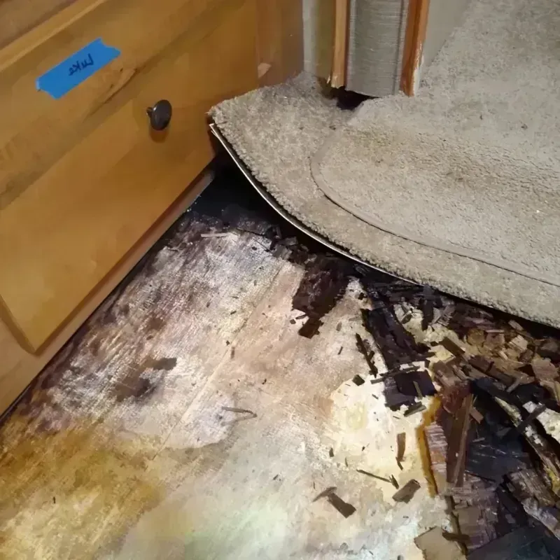 Best Wood Floor Water Damage Service in Richville, OH